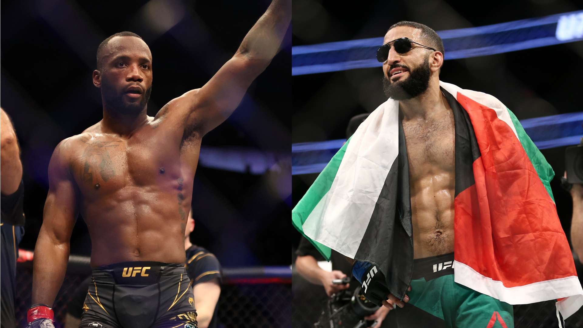 只能寄希望 只能寄希望