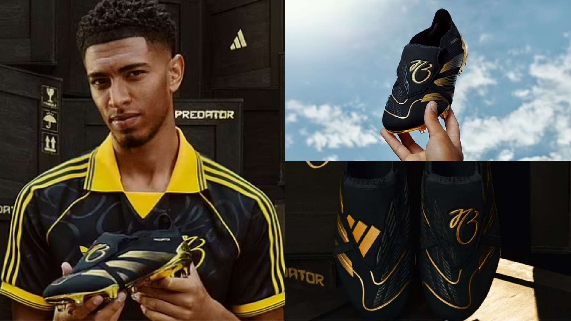 的真正价值 的真正价值